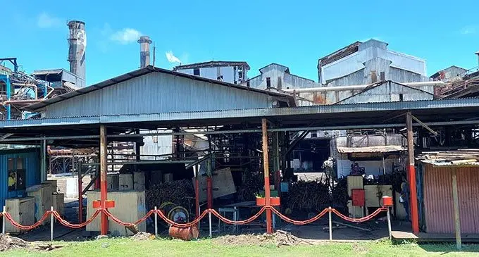 Final loads of cane lined up at the Lautoka Mill following the conclusion of the mill’s 2022 crushing season on November 8, 2022. Photo: Nicolette Chambers
