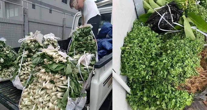 Seven farmers donated vegetables on Saturday to assist in food distribution efforts done by the Government.  Photos: Supplied