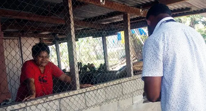 Medical teams conducting house-to-house Dengue fever inspections in Rakiraki last week.