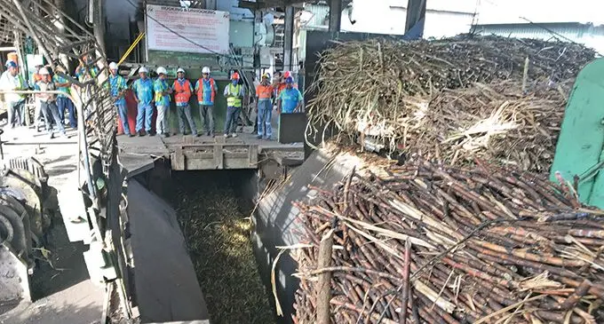 Sugar cane crushing in Labasa. Photo: Shratika Naidu