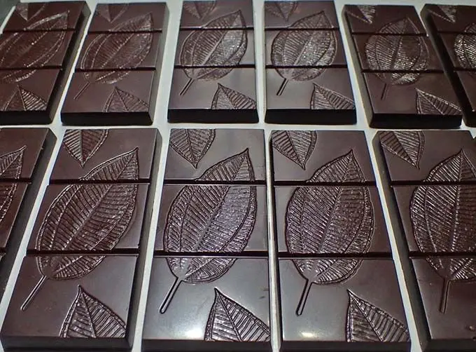 Creative chocolate moulding – using forest leaves to produce elegant ‘chocolate leaves’.