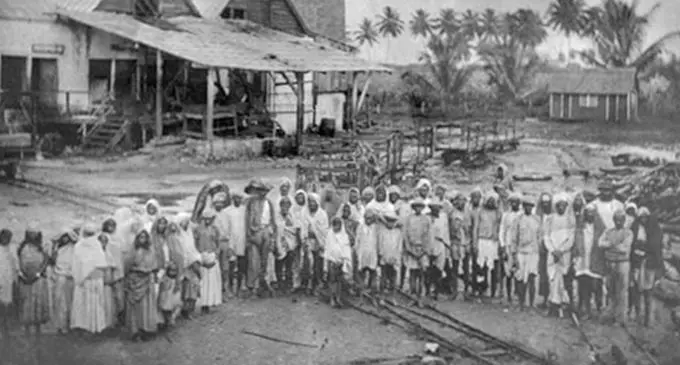 Girmitiyas in Fiji.