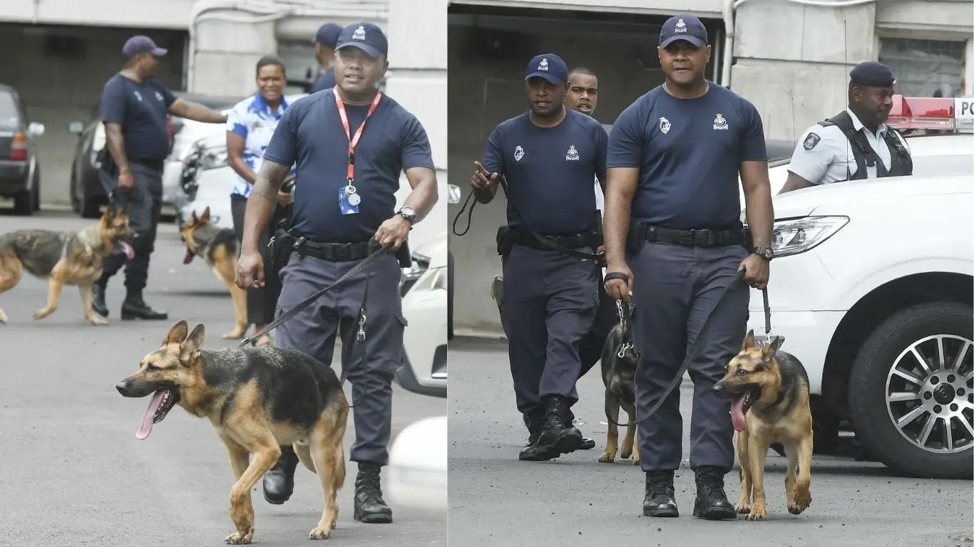 The Fiji Police Force K9 Unit on patrol outside the Suva courthouse on September 17, 2926.
