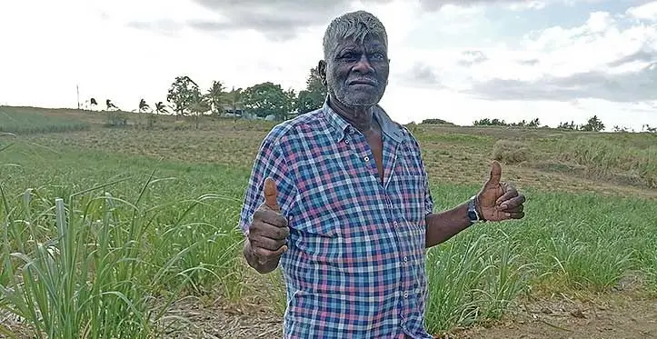 Bal Krishna Gounder at his sugarcane farm in Nadovi, Nadi. Photo: Mereleki Nai