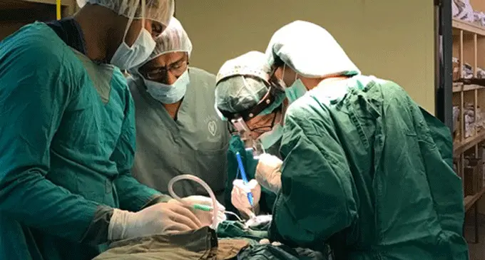The specialist doctors during surgery.  Photo: Dr Ching-Ling Lin.