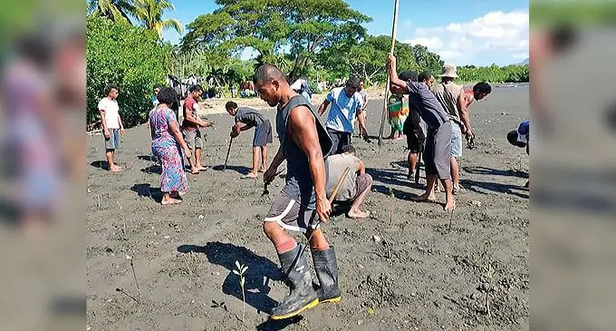 Viani Village Youth Club members planting mangrove along the sea shore at Viani Village in Cakaudrove on May 10, 2022.