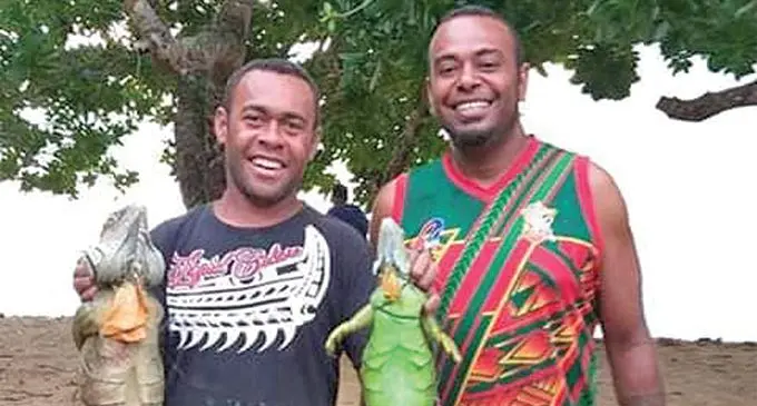 Youths of Qamea Island holding American iguanas caught at Naiviivi Village on June 12,2019. Photo: Courtesy of Vani Turaga
