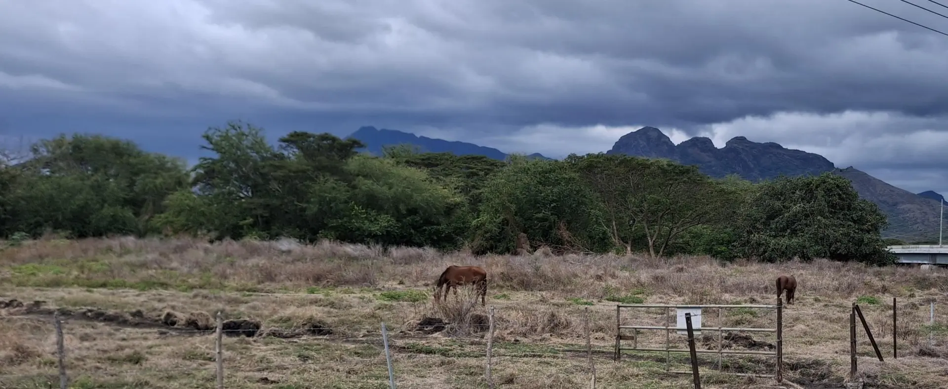 Farmers urged to prepare for prolonged dry season