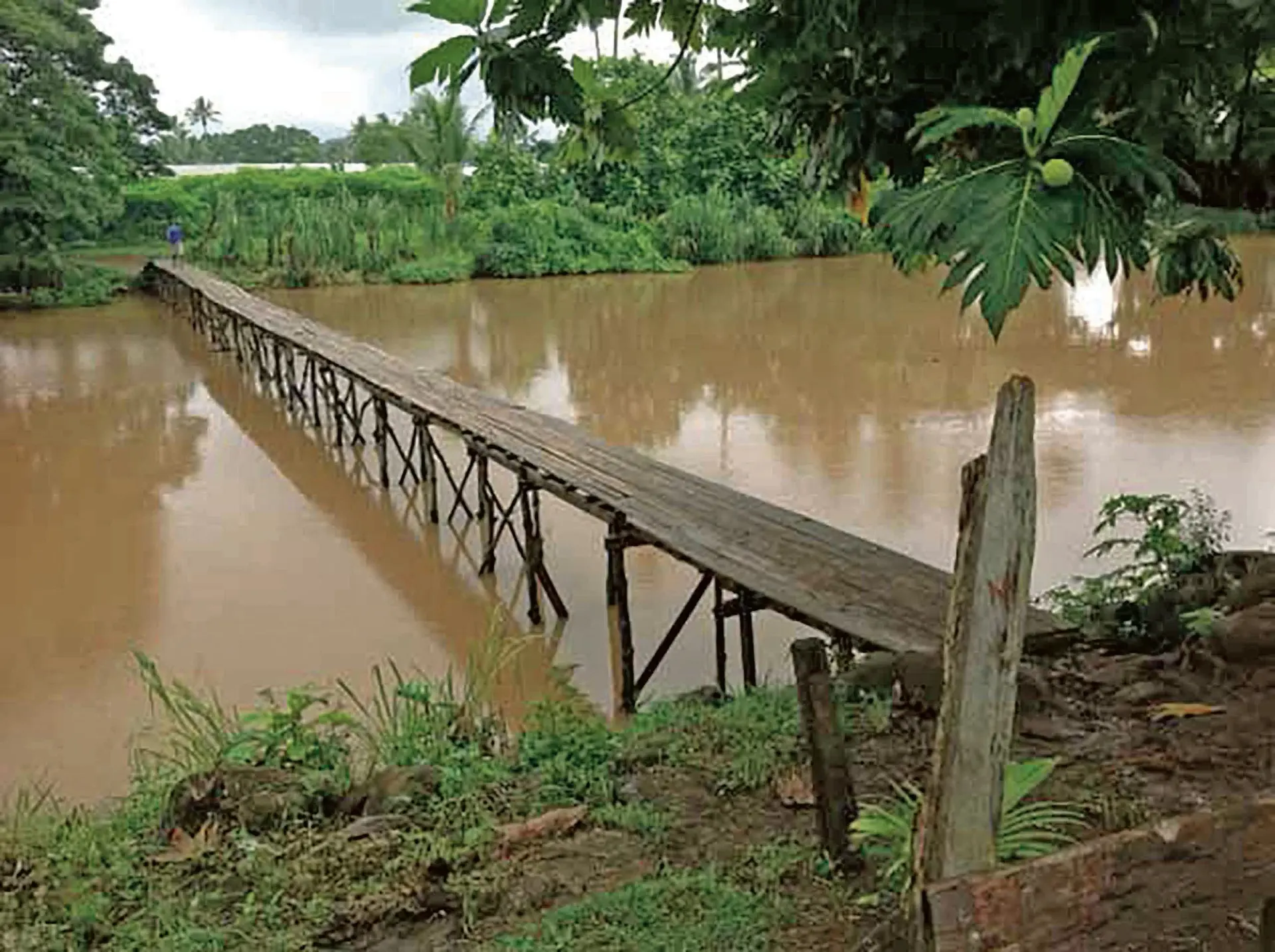 The temporary bridge that the villagers of Bua Lomanikoro have constructed. Photo: Supplied/Ratu Makutu Nagagavoka