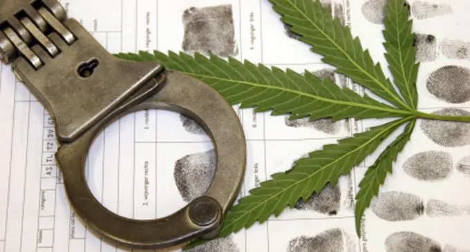 possession_of_marijuana