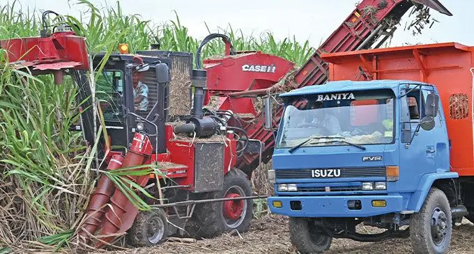 Vanua Levu Cane Harvesters Association ready to harvest cane on June 11, 2024.