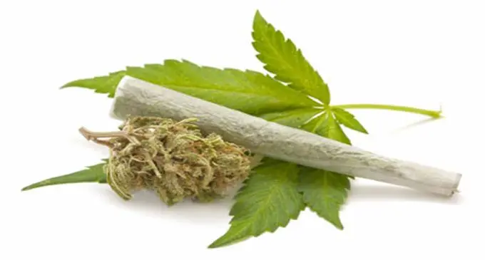 cannabis-pot