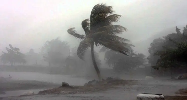 WIND