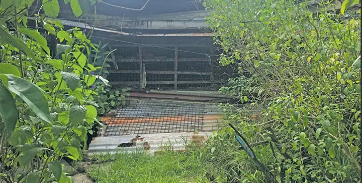This $15,000 house with furniture is being sold at Wailea Settlement in Vatuwaqa, Suva, on January 31, 2019. Photo: Simione Haranavanua. 