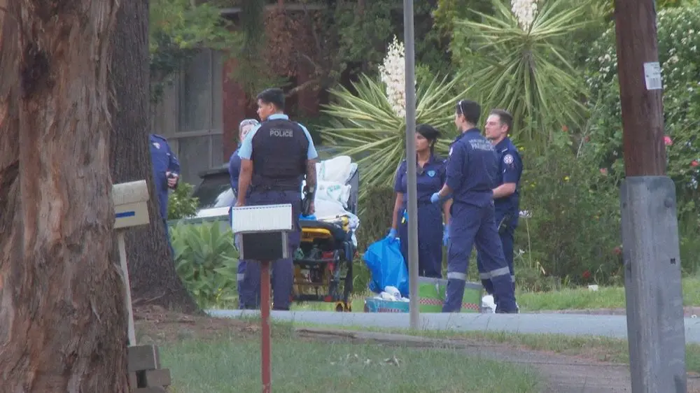 Two Fijians dead after alleged stabbing in Sydney