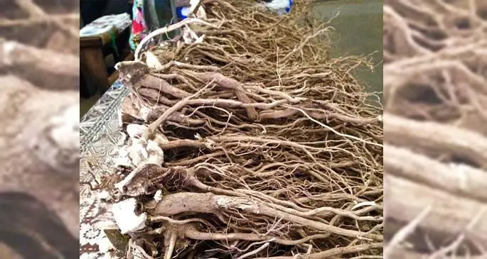 Tavuku waka sold in the market.
