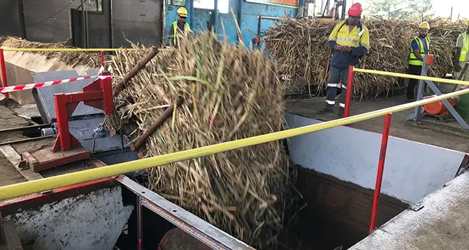 The first load of sugar cane is tipped at the Rarawai Mill in Ba on June 23