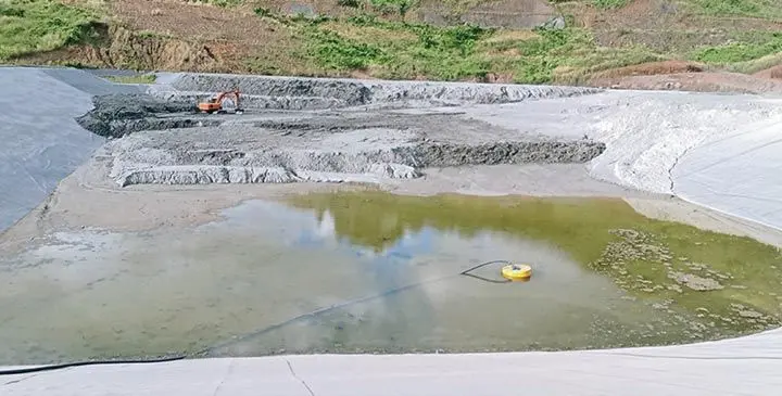 The chemical spillage from Lion One Metals Limited mining operation into the Sabeto River which killed fish and marine resources.