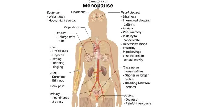 Symptoms_of_menopause_(vector)