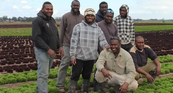 Romeo, Silvestre, Rex, Willie, Rony and Tari with team leader Stephen (front, khaki jacket), and Kerry on one of Riviera Farm’s lettuce farms Photo: Google 