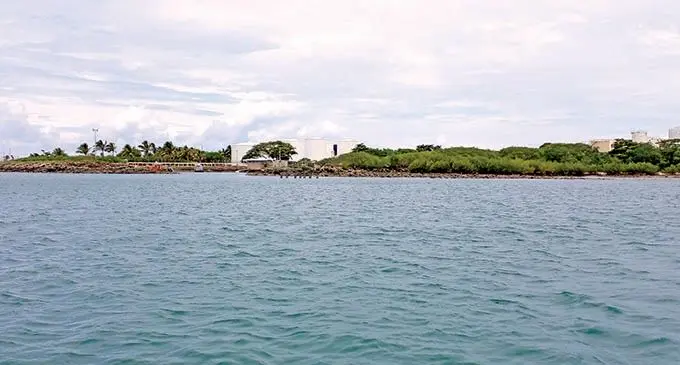 The Vuda Coral Restoration site which is near the Vuda Depot. Photo: Salote Qalubau