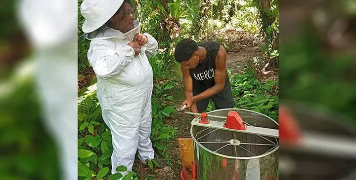 Ana Tovata harvests her honey (left) in Taveuni on March 26, 2025. Photo: Supplied 
