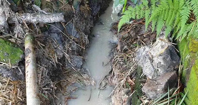 Alleged fat residues deposited into the drain at Wailada.