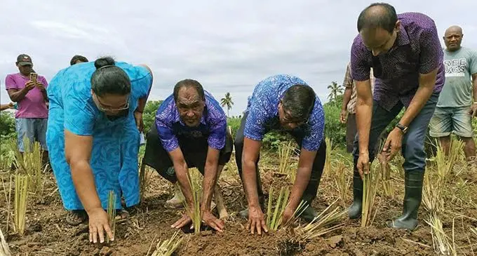 The Minister for Agriculture, Waterways and Environment (second from right), Mahendra Reddy and the Permanent Secretary Joshua Wycliffe (first from right) with members of Emuri Village in Sigatoka planting the first rows of vetiver grass on March 15, 2021.