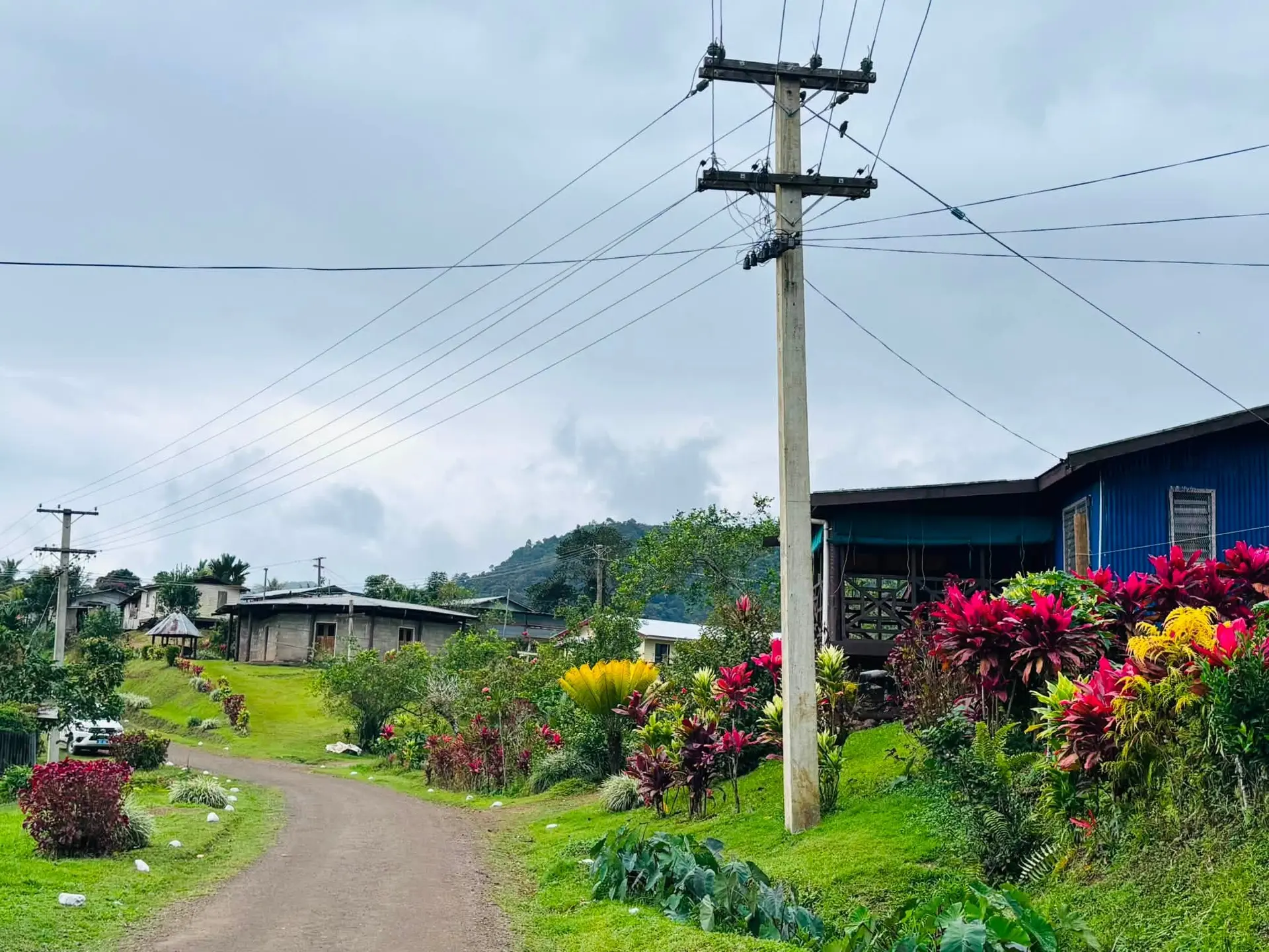 village-gridline