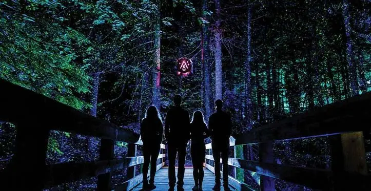 Lumina Night Walks transform outdoor sites into an magical illuminated world experience. Tourism Fiji said it would soon be available in Fiji to boost tourism experiences. Photo: Tourism Fiji