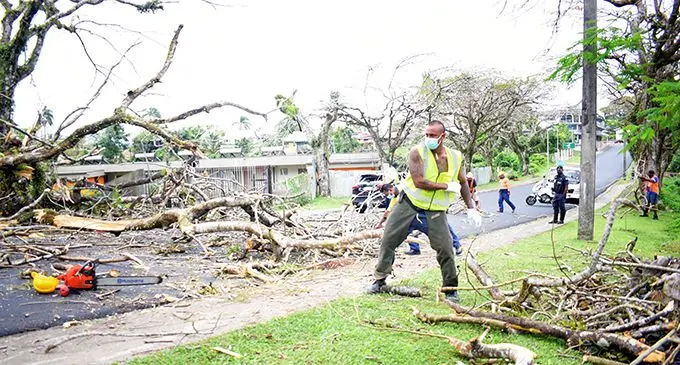 Suva City Council workers clearing the fullen tree at Holland street in Suva on 20, October 2021. Photo: Ronald Kumar.