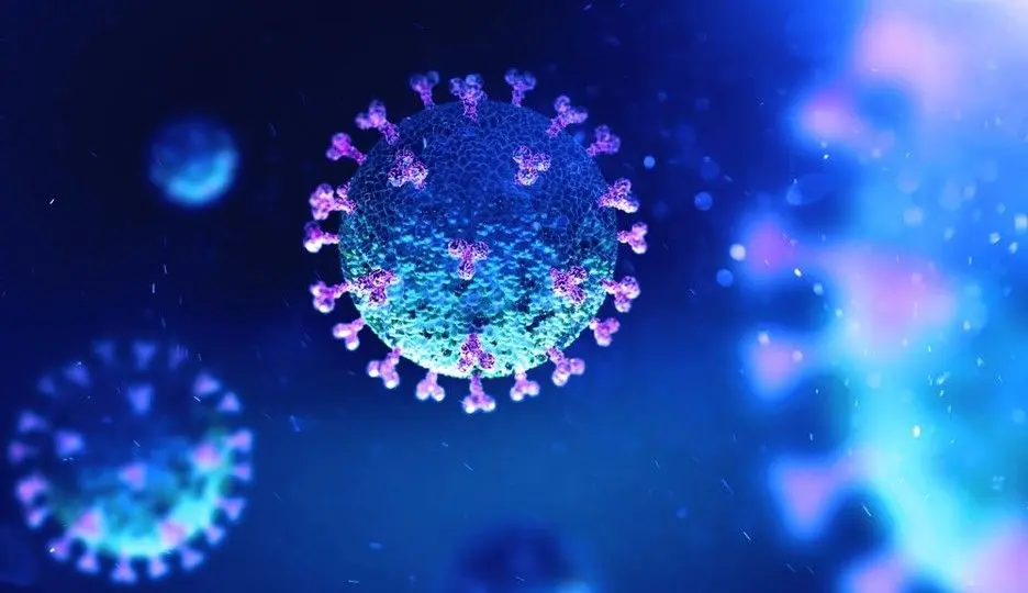 th-960x540-i93877-coronavirus-origine.jpeg