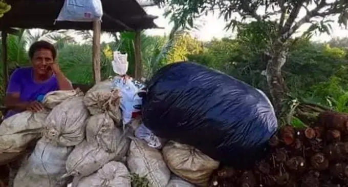 A woman of Cogea sitting next to the food packs to send to the quarantine facilities in Labasa.