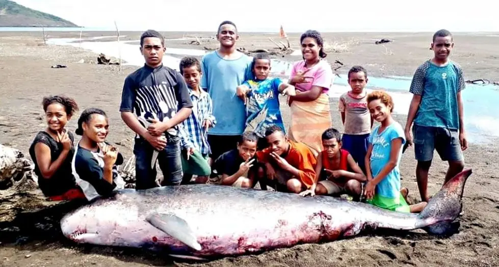 Villagers of Vunitogoloa in Ra with the dead whale.