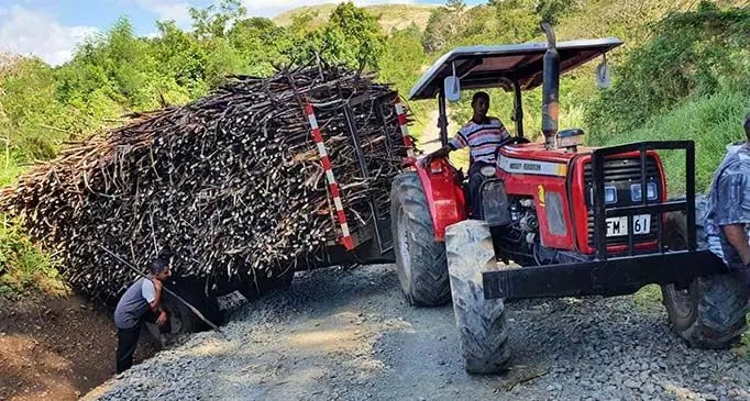 Khadim Hussain (left) with his son Talib Hussain at Yalava outside Labasa Town on September 14, 2020.