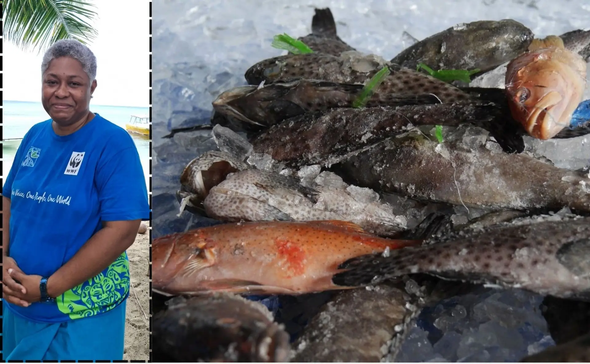 World Wide Fund for Nature (WWF) Pacific Great Sea Reef programme manager, Margaret Tabunakawai Vakalalabure.