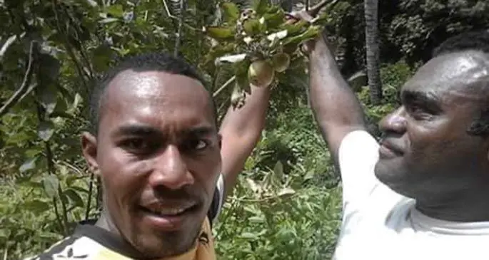 A farmer in Matuku, Lau, says an apple tree is bearing fruit on his farm.