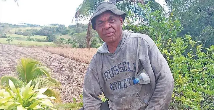 Maciu Namoce at the Sarava sugarcane field on October 10, 2023.