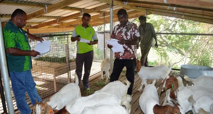 The Minister for Agricultur Inia Seruiratu is being briefed at Bobby’s Farm on the boar goats .