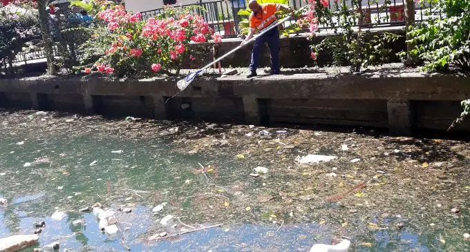 Suva City Council workers busy picking rubbish from Nubukalou Creek in the Central Business District. Photo: Shalveen Chand