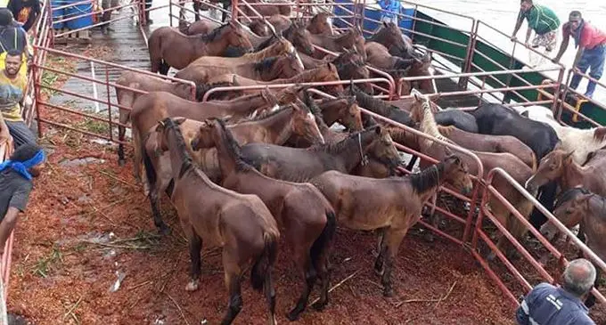 Era sa sobu oqo na Ose ena wavu mai Qarani, Gau. Veitaba: Tabacakacaka ni Teitei
