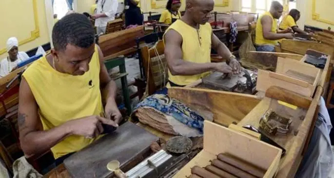 Employees make Cohiba cigars at the El Laguito factory in Havana, Cuba, on Feb. 21, 2019(Xinhua/Joaquin Hernandez)