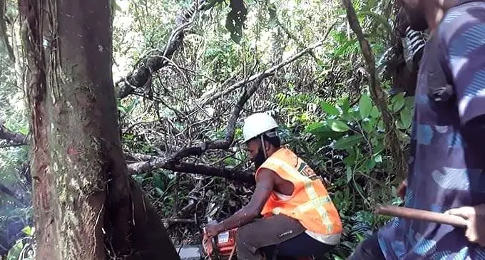 Mahogany landowners training to become certified loggers.