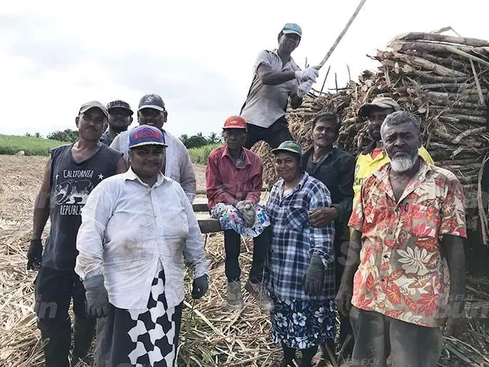 The cane cutters with Nirmala Wati (sitting) while loading the cane at Solove, Wailevu on June 23, 2020. Photo: Laisa Lui