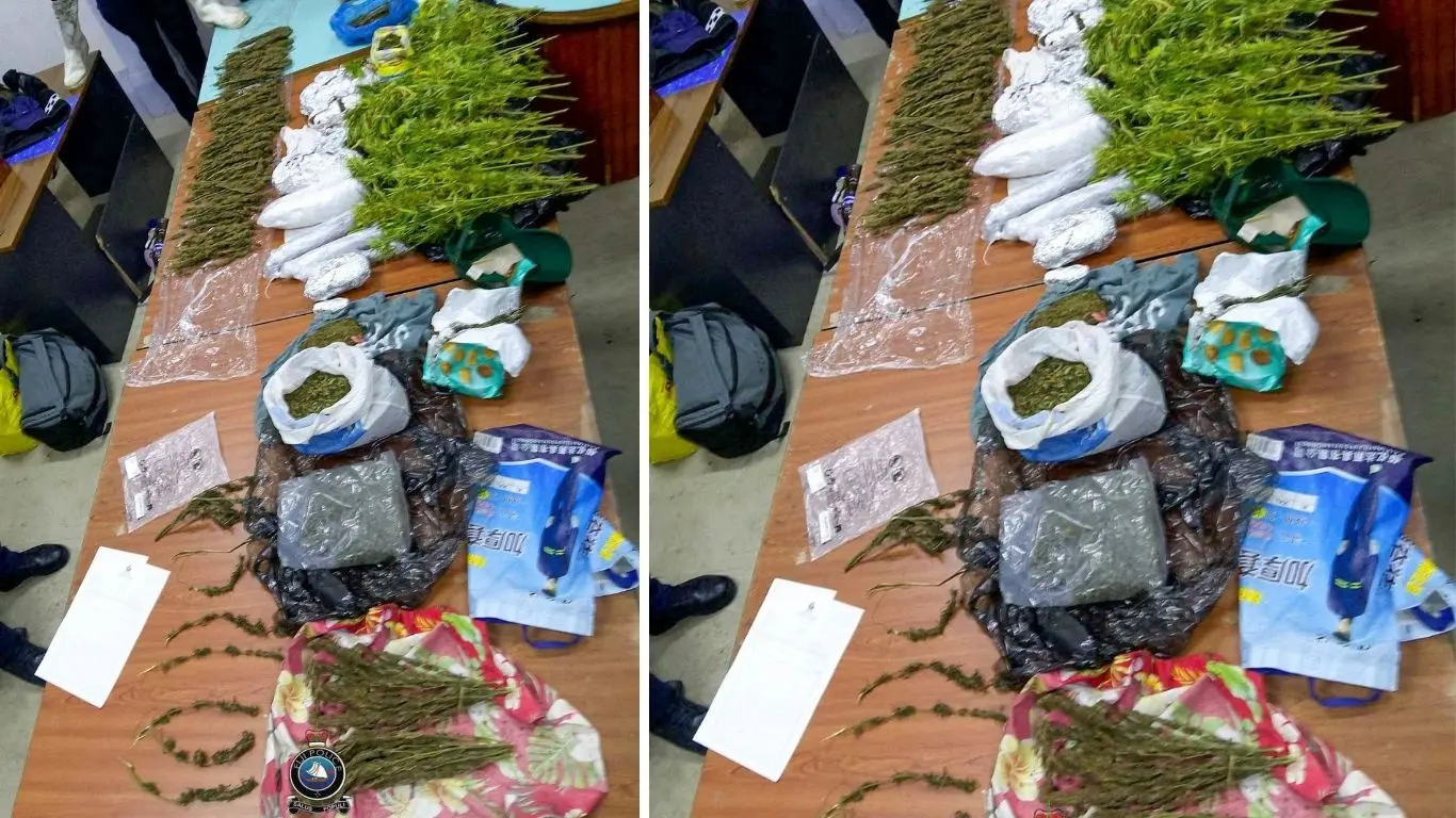 Routine checks on outer island passengers lead to seizure of suspected marijuana