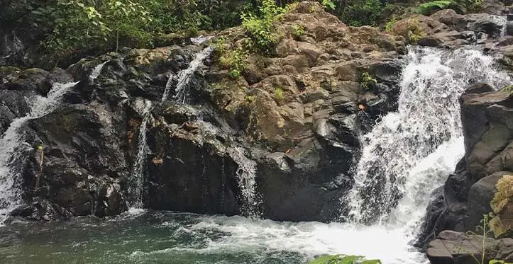 Waisali Waterfalls in Savusavu, Vanualevu.