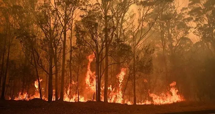  A bushfire burns in the town of Moruya, south of Batemans Bay, in New South Wales.
