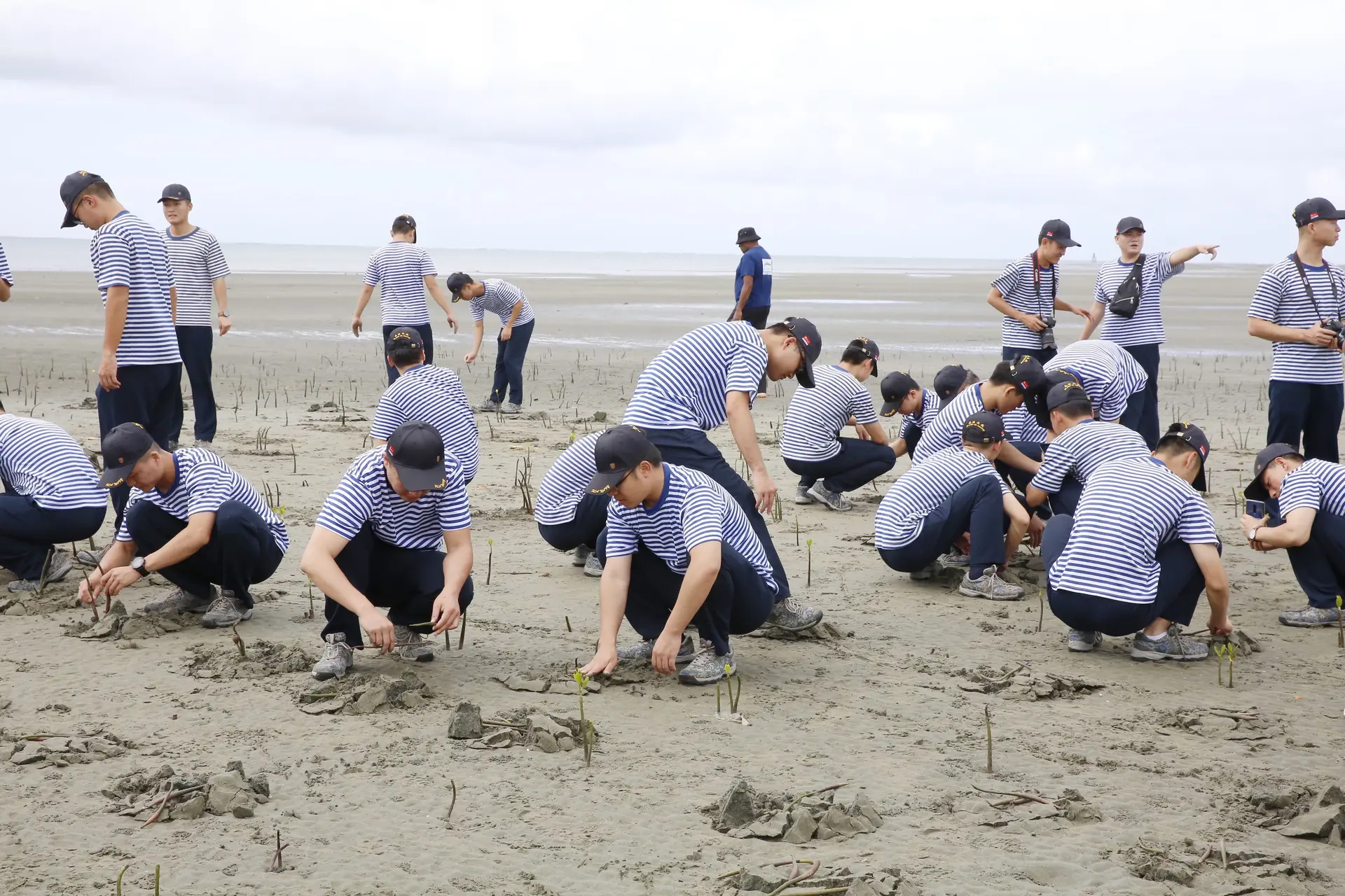 The Chinese Navy during a mangrove planting session at the Suva Foreshore.