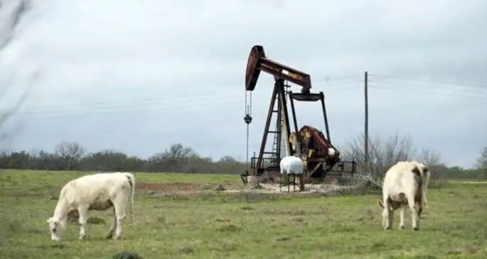 File photo taken on March 12, 2019 shows an operating oil pump in Luling of Texas, the United States. (Xinhua/Wang Ying)