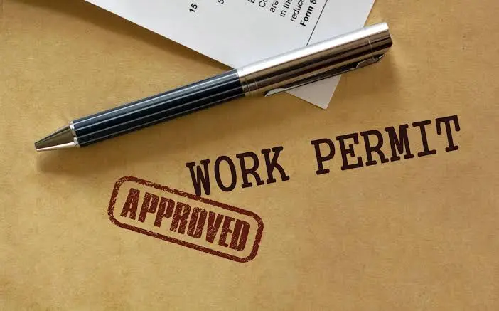 Fake Fiji work permits 'quite widespread' but none slipped through: Immigration